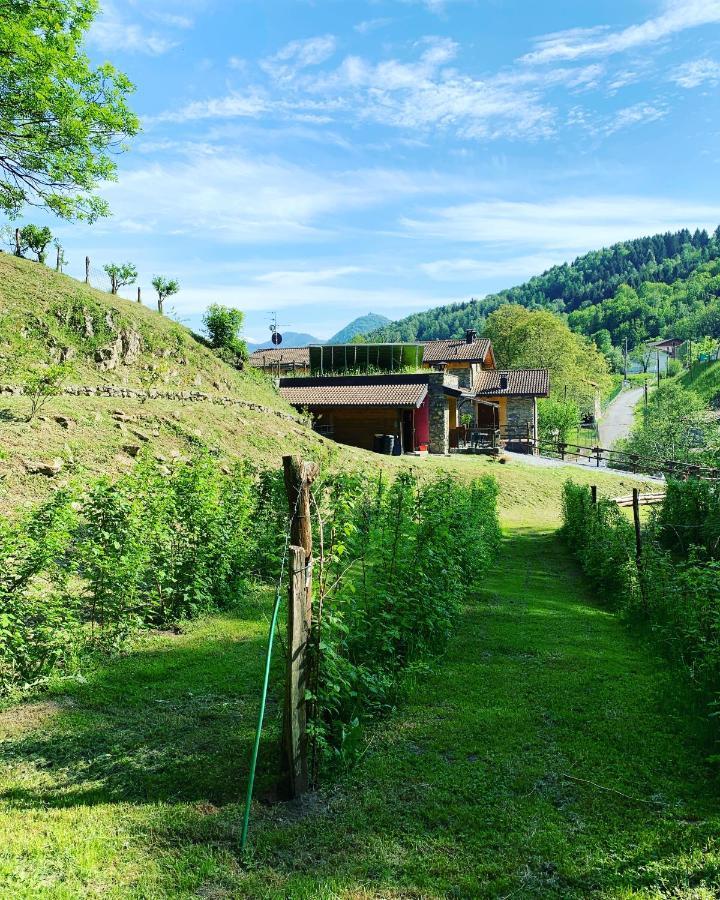 Agriturismo Il Talento Nella Quiete كاستيليونِ دينْتيلْفْ المظهر الخارجي الصورة