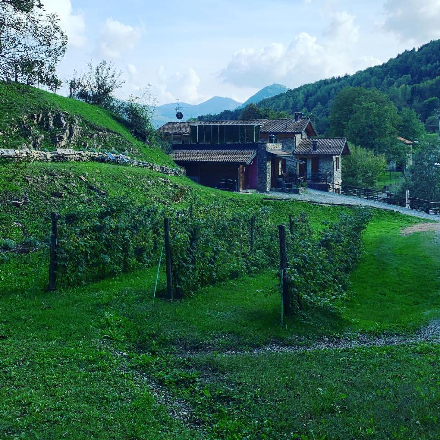 Agriturismo Il Talento Nella Quiete كاستيليونِ دينْتيلْفْ المظهر الخارجي الصورة