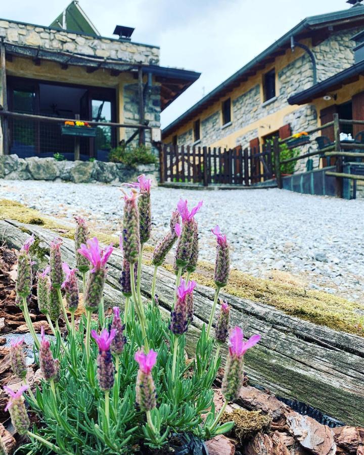 Agriturismo Il Talento Nella Quiete كاستيليونِ دينْتيلْفْ المظهر الخارجي الصورة