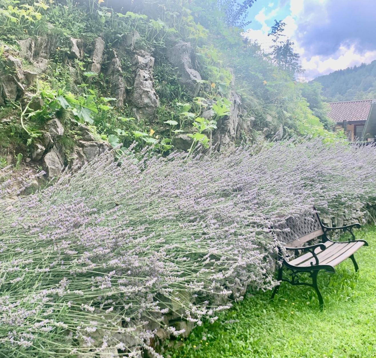 Agriturismo Il Talento Nella Quiete كاستيليونِ دينْتيلْفْ المظهر الخارجي الصورة