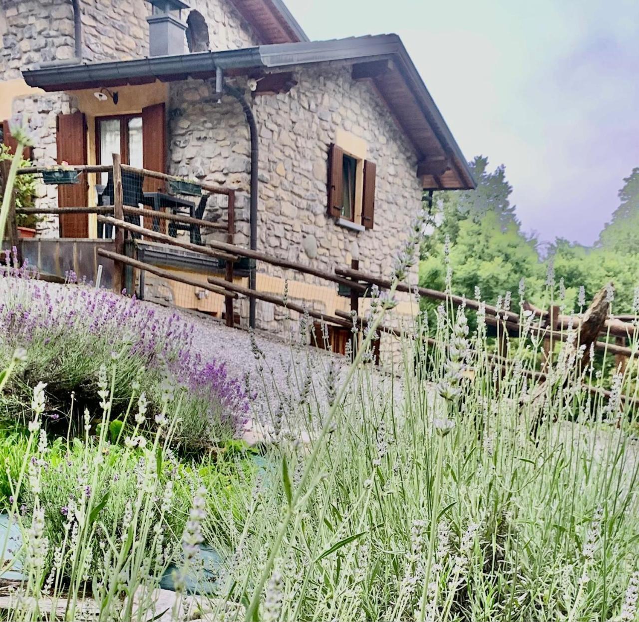 Agriturismo Il Talento Nella Quiete كاستيليونِ دينْتيلْفْ المظهر الخارجي الصورة