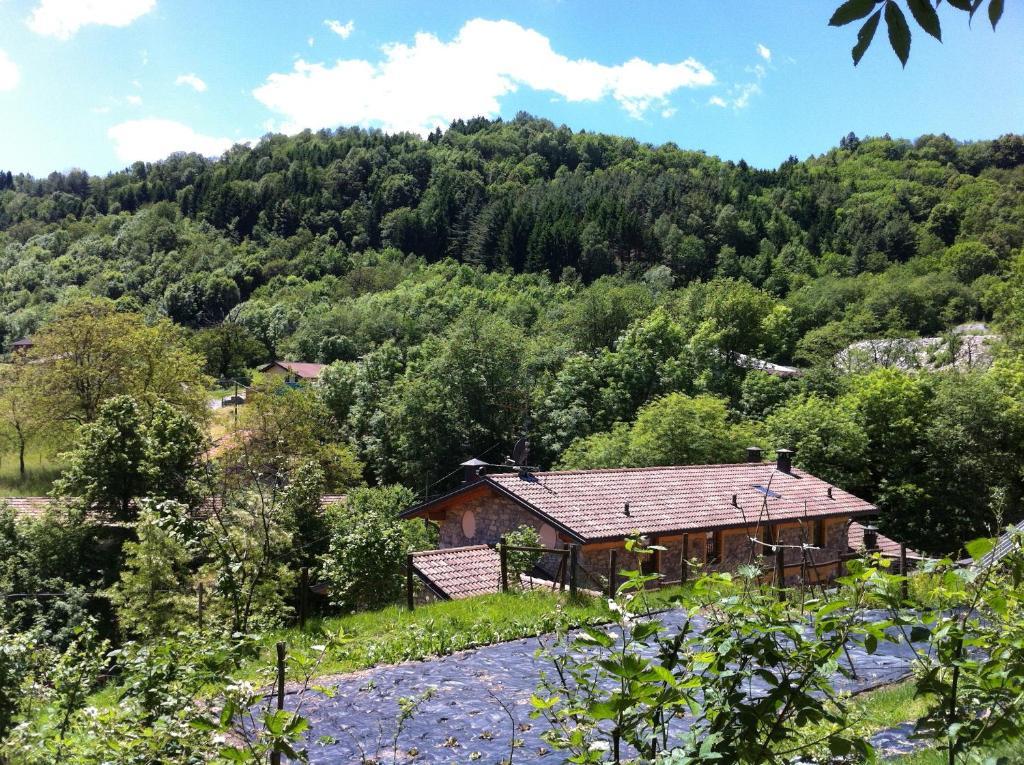 Agriturismo Il Talento Nella Quiete كاستيليونِ دينْتيلْفْ المظهر الخارجي الصورة